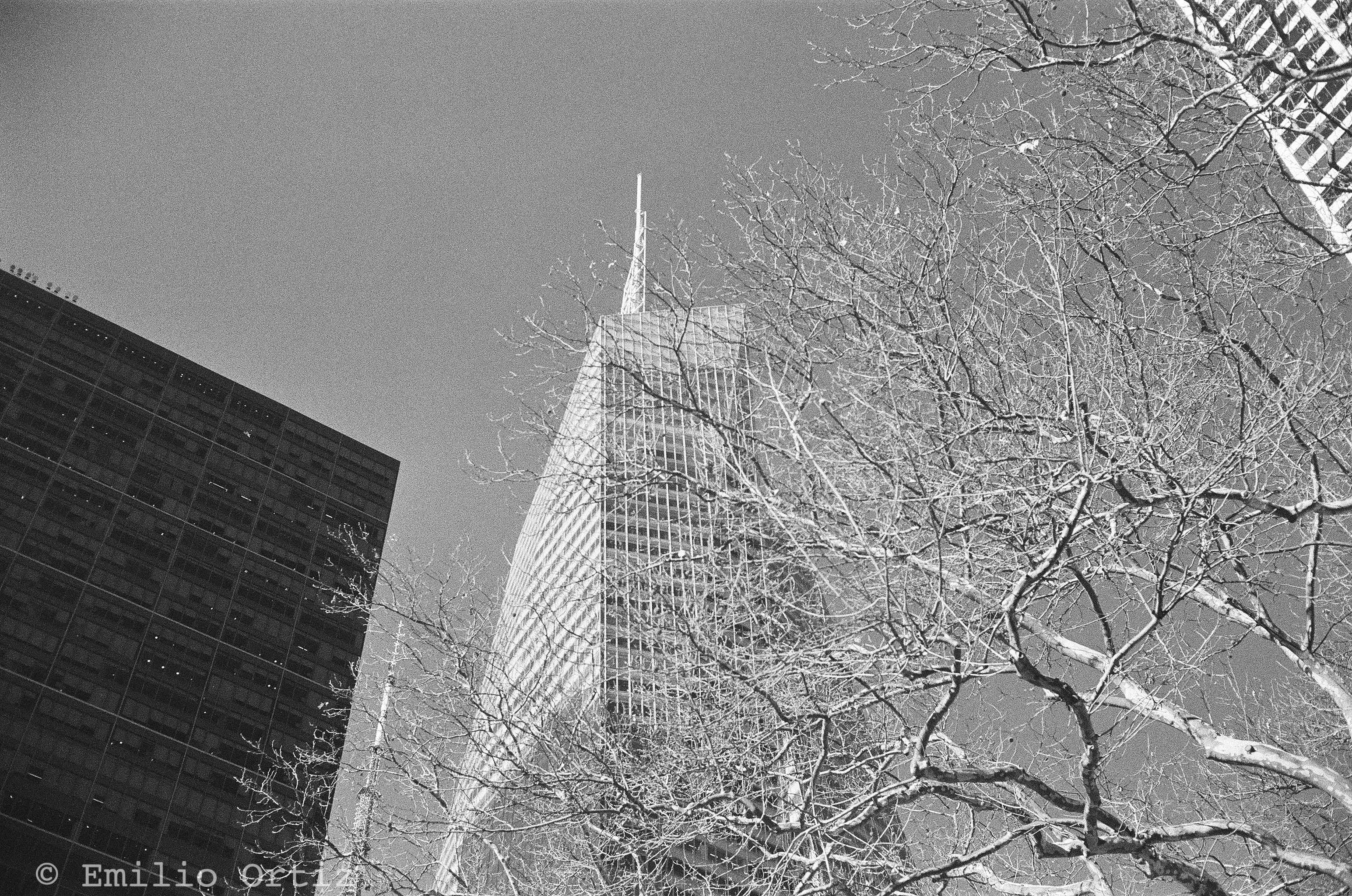 View of skyscrapers from Bryant Park