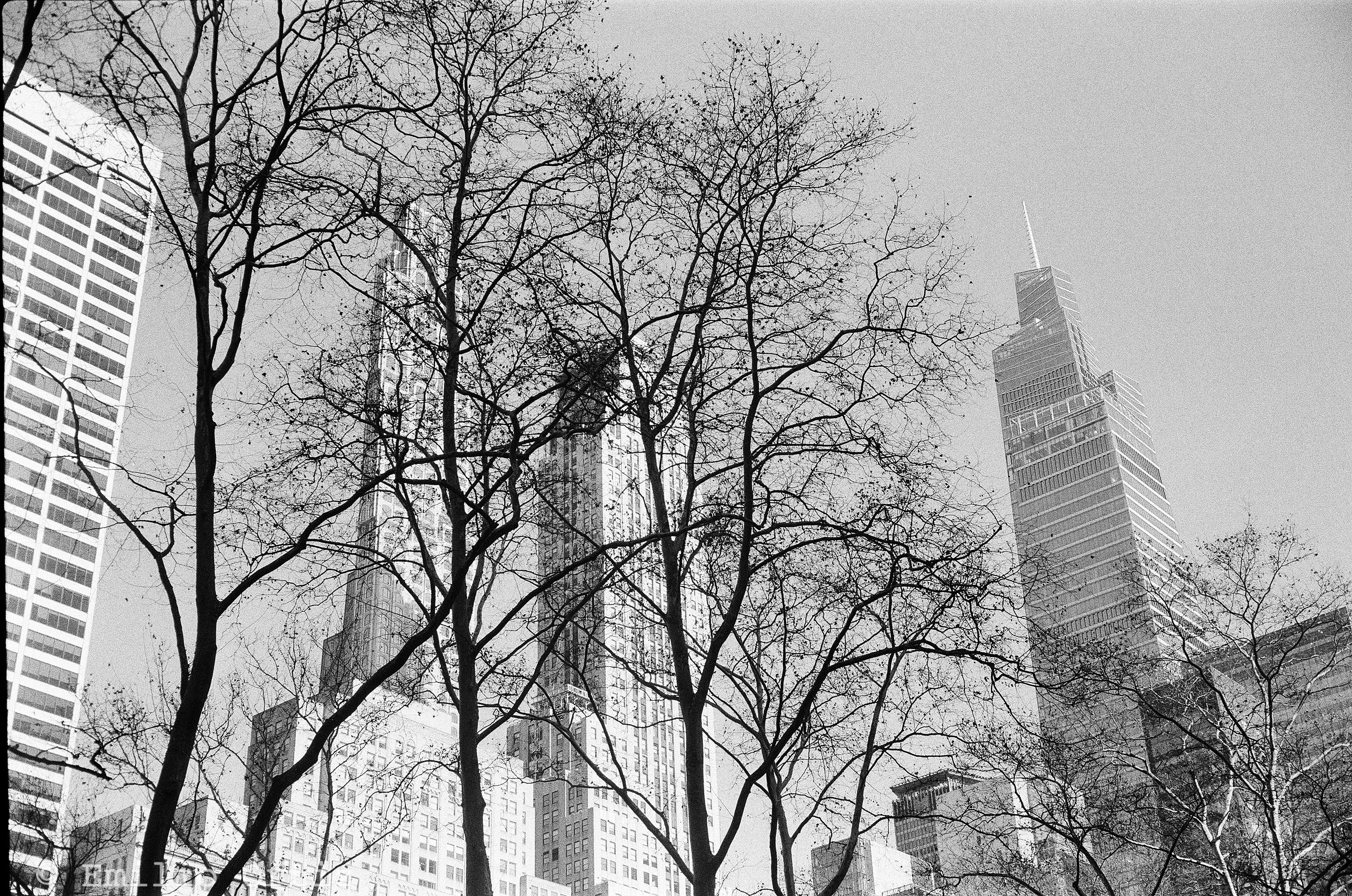 View of skyscrapers from Bryant Park