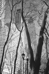View of skyscrapers from Bryant Park